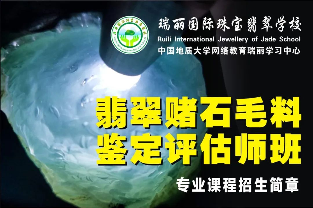 <strong>点石成金 翡翠赌石毛料鉴</strong>